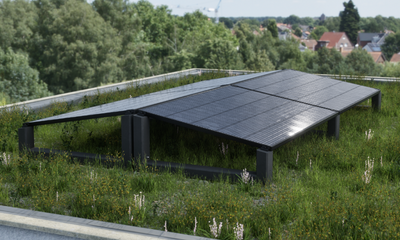 Wattstone (Flachdach)