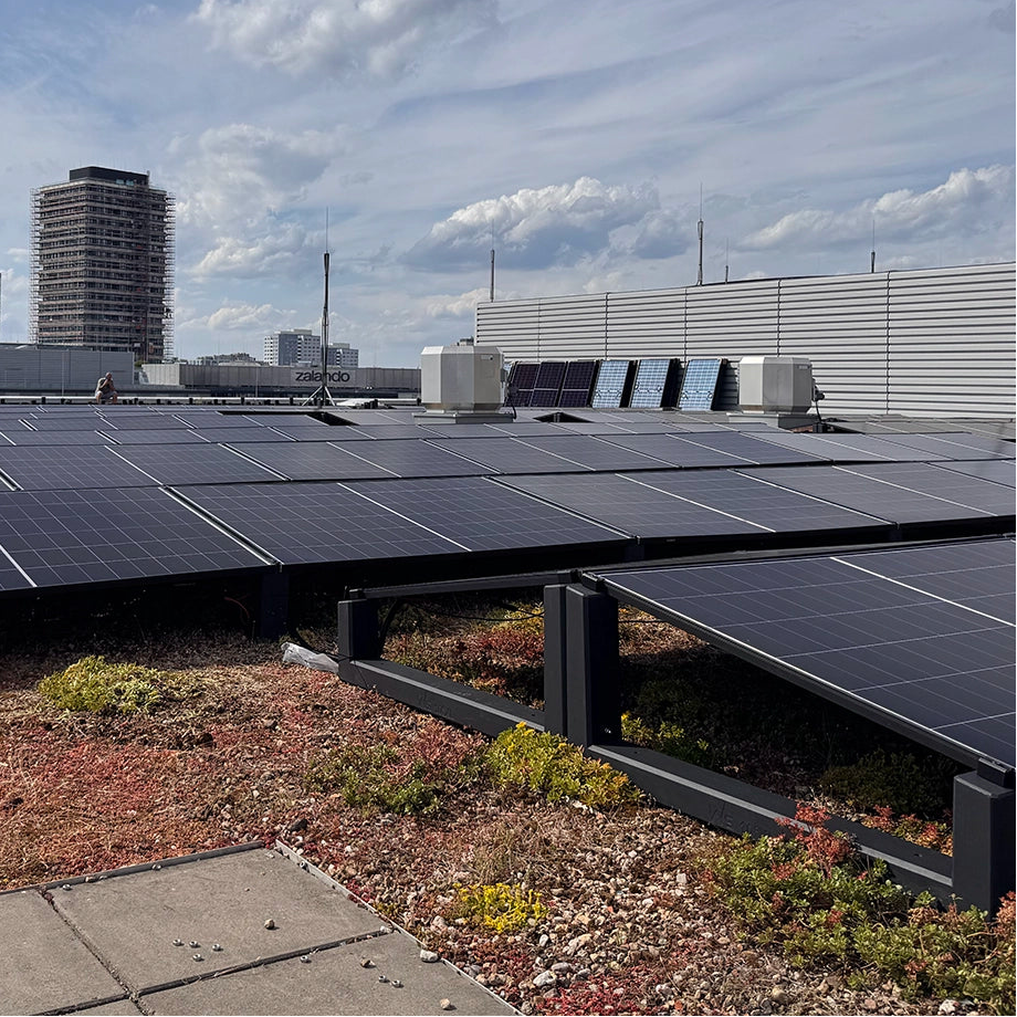 PV-Module auf WATTSTONE 10° XL Aufständerungen auf einem begrünten Flachdach