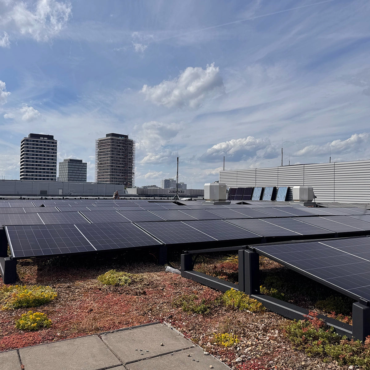 WATTSTONE 10° XL - Gründach PV-Aufständerung aus Feinbeton ohne Zubehör